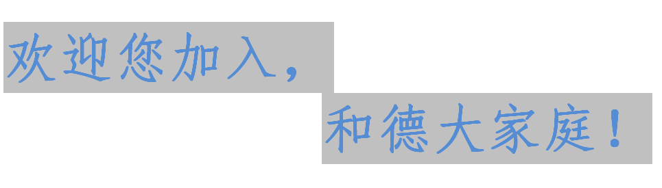 13.png