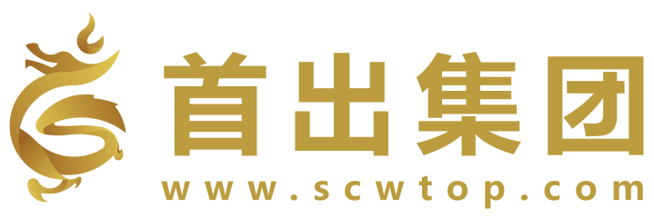 广东首出网络科技有限公司
