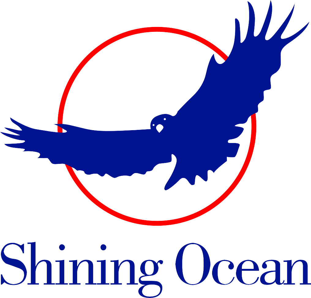 深圳市海光国际物流有限公司广州分公司