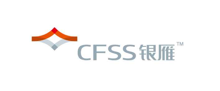 广东银雁服务外包有限公司