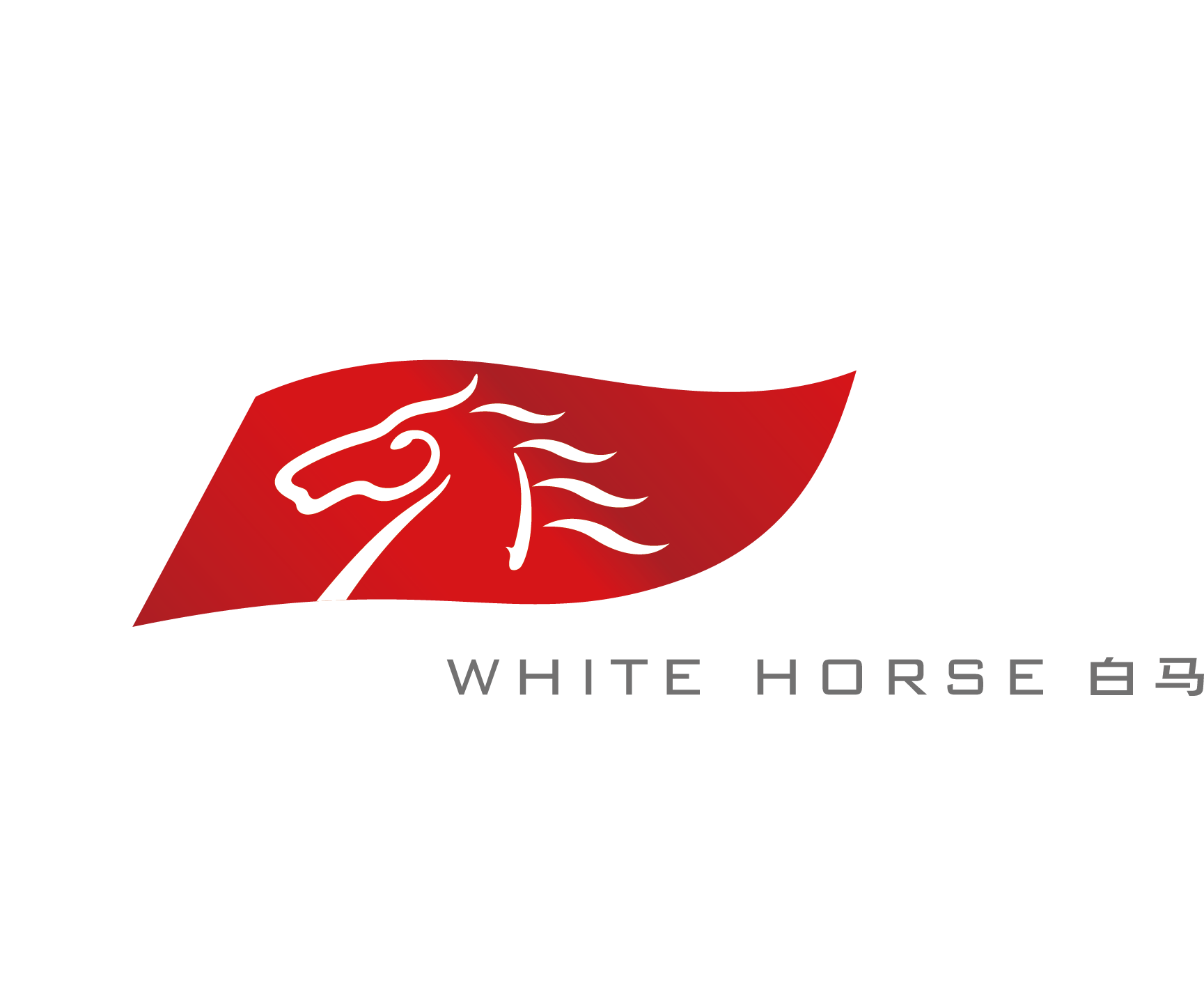 海南白马广告媒体投资有限公司