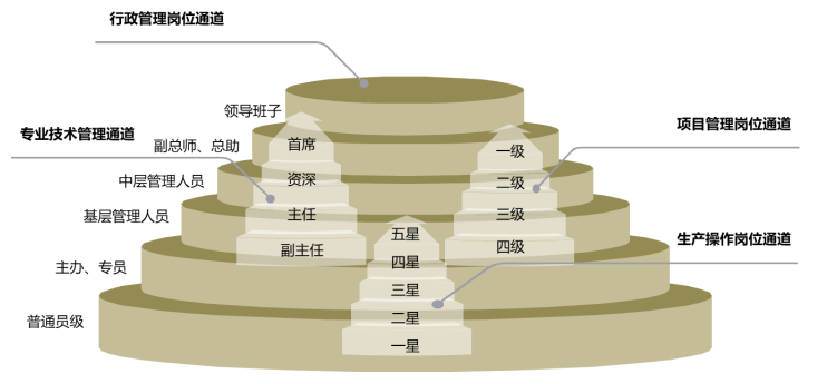 三维职业发展通道模型